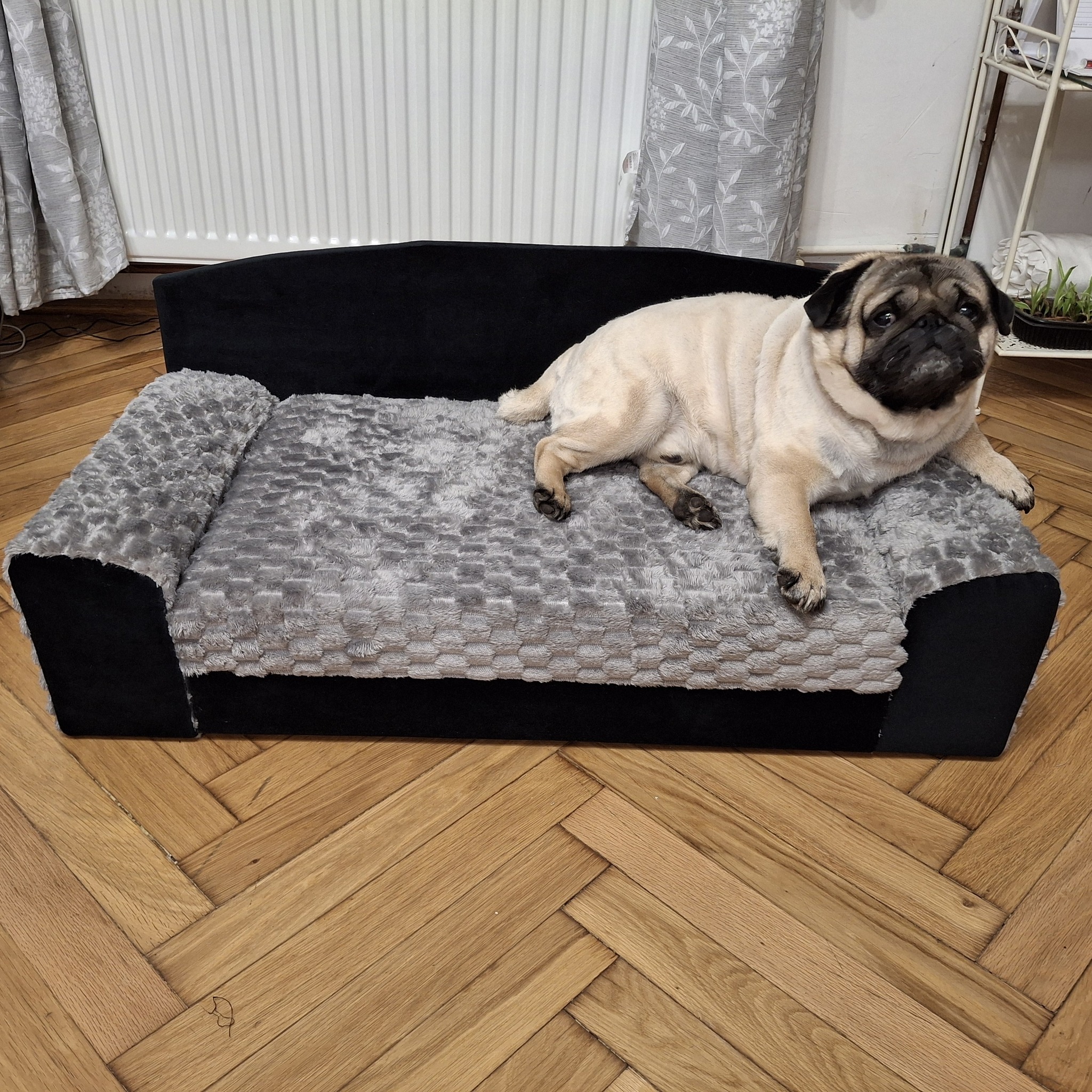 Kutya kényelmesen használja a rámpát